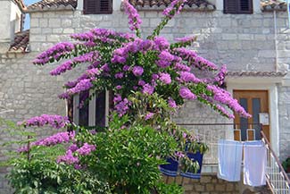 House in Trogir
