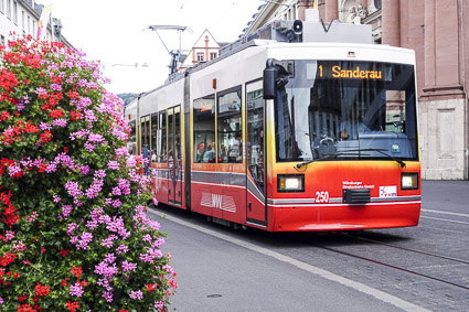 Tram and flowers in Würzburg, Germany