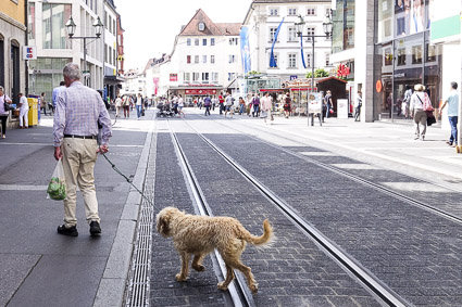Man and dog in downtown Würzburg
