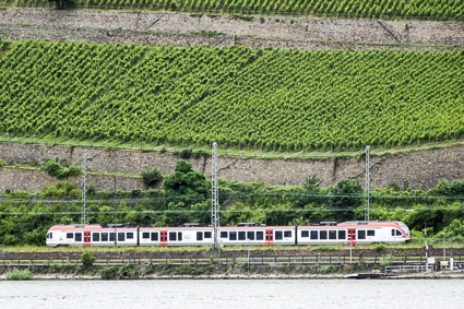 Rhine River vineyards and DB train