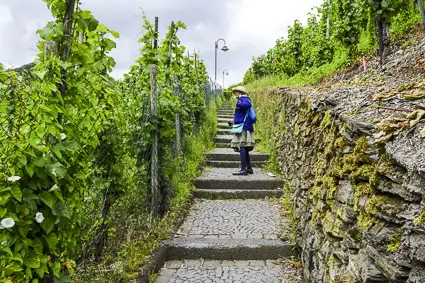 Walk to Burg Landshut, Bernkastel-Kues