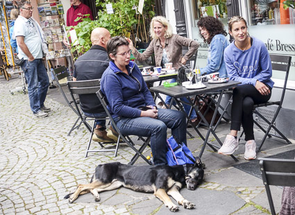 Dog and family in Bernkastel