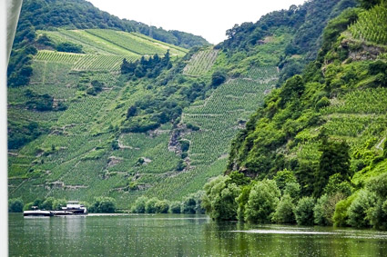 Moselle River between Bernkastel-Kues and Trier