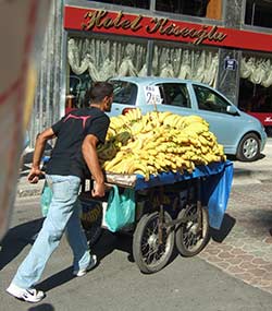 Izmir fruit vendor