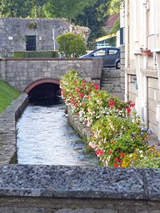 Flowers alongside a stream in Caudebec-en-Caux
