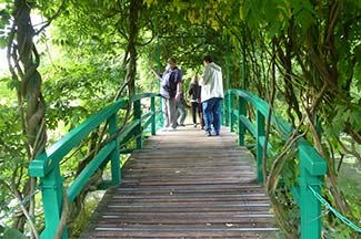 Bridge in Giverny water garden