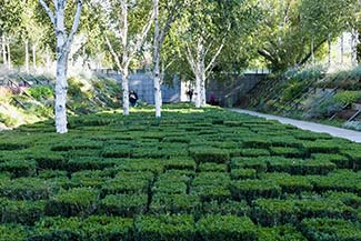 Topiary in Parc André Citroën