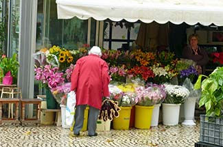 Flower stall in Mercado Central, Cadiz
