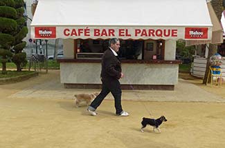 Cafe in Parque Genoves, Cadiz