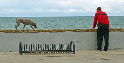 Man and dog on Cadiz seafrnt