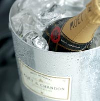 Champagne in ice bucket photo
