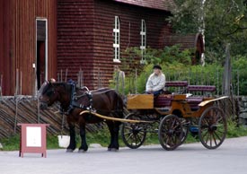 skansen sweden