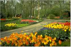 Keukenhof Gardens, Holland, Netherlands