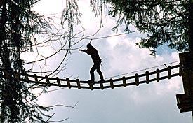 Photo of man on rope bridge