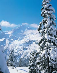 Zugspitze winter photo