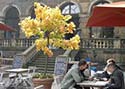 Cafe Alte Meister Dresden