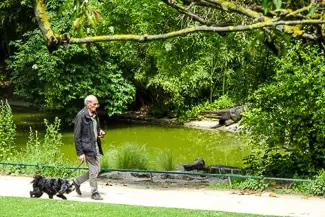 Dog-walker in Parc Montsouris, Paris