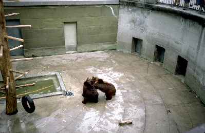 Bear Pits Bern