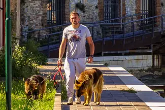 Dogs near Bacino vaporetto stop