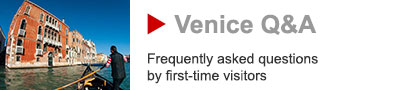 Venice FAQ banner.