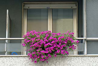 Flowers on Mestre apartment balcony