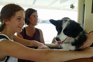 Dog on Venice vaporetto