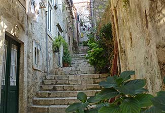 Steps with greenery in Dubrovnik