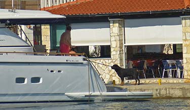 Marina in Pomena, Mljet