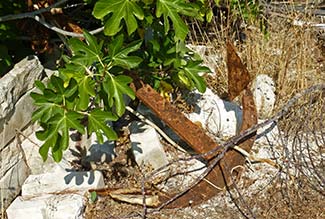 Rusty anchor in Pomena on the island of Mljet