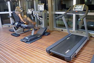 Fitness Center on L'Austral