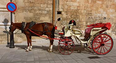 Horse-drawn carriage in Palma de Mallorca