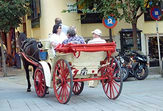 Horse and carriage in Palma de Mallorca