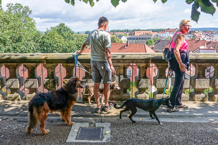 Balustrade with view in Bamberg Rose Garden