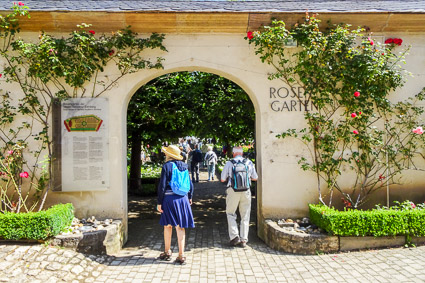 Bamberg Rose Gardens