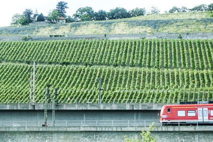 Deutsche Banh regional train and vineyards near Würzburg, Germany