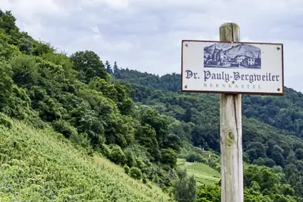 Dr. Pauly-Bergweiler vineyard, Bernkastel