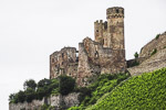 Rhine castle ruins