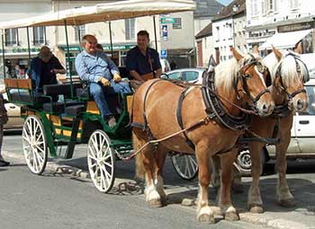 Chateau-Landon carriage