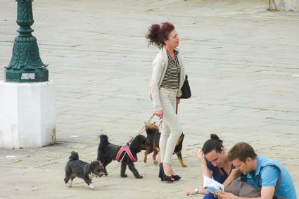 Dogs on Riva di San Biagio, Venice