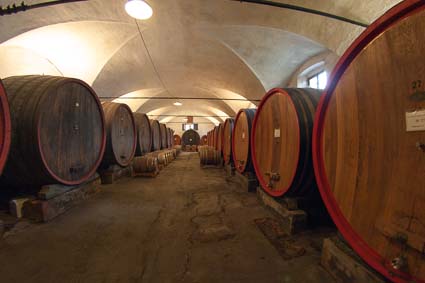 Wine casks at Il Dominio di Bagnoli