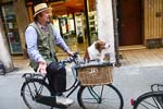 Bicyclist with dog in Ferrara