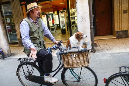 Bicycle with dog