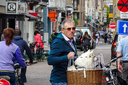 Blankenberge shopping district with dog