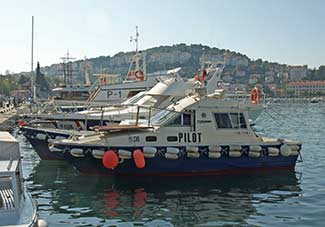 Gruz harbor-pilot boats and yachts