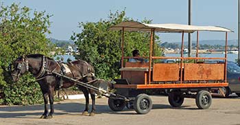 Katakolon horsedrawn wagon