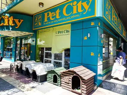 pet city store