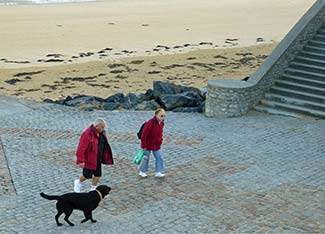 Couple and dog on beach at Arromanches