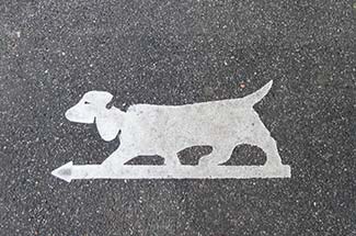 Dachshund sign in Rouen, France