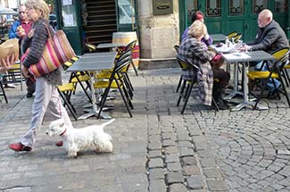 Shoppers and West Highland White terrier in Old Market Square, Rouen