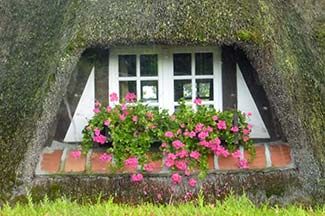 Thatched-roof house in Normandy